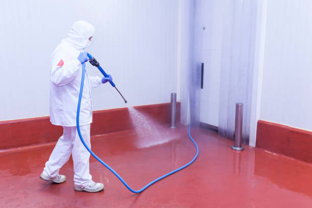 Best Sidewalk and Walkway Cleaning  in South Amboy, NJ